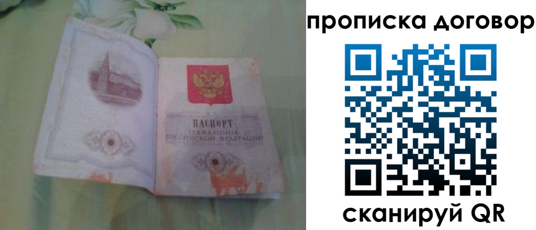 временная регистрация гарантия в Выборге